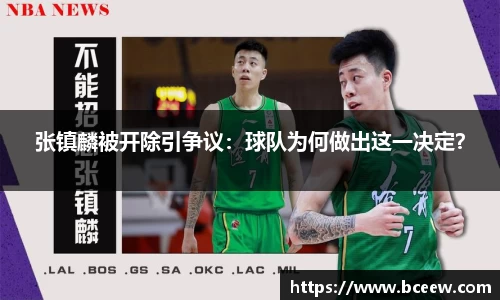 张镇麟被开除引争议：球队为何做出这一决定？