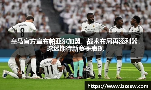 雷竞技官网网址