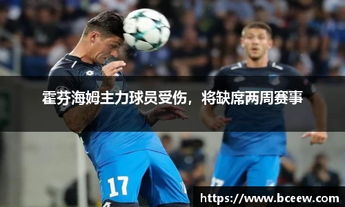 霍芬海姆主力球员受伤，将缺席两周赛事