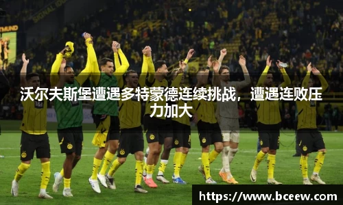 雷竞技官网网址