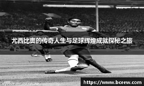 尤西比奥的传奇人生与足球辉煌成就探秘之旅